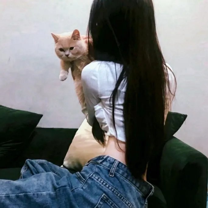叔比狗疯狂摔角大奇案