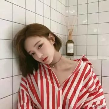 晴天小猪